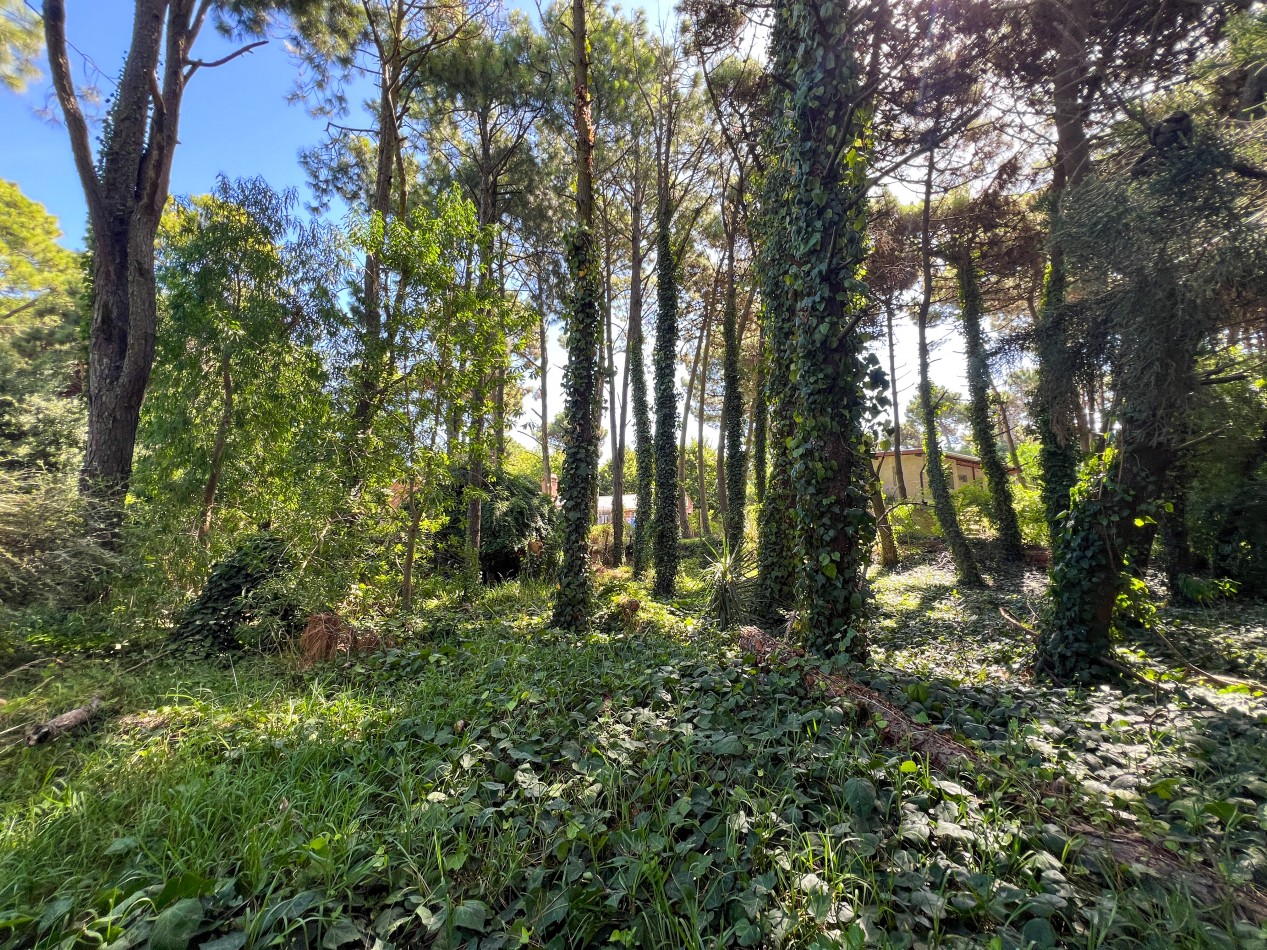 VENTA LOTE PINAMAR TRIDENTE