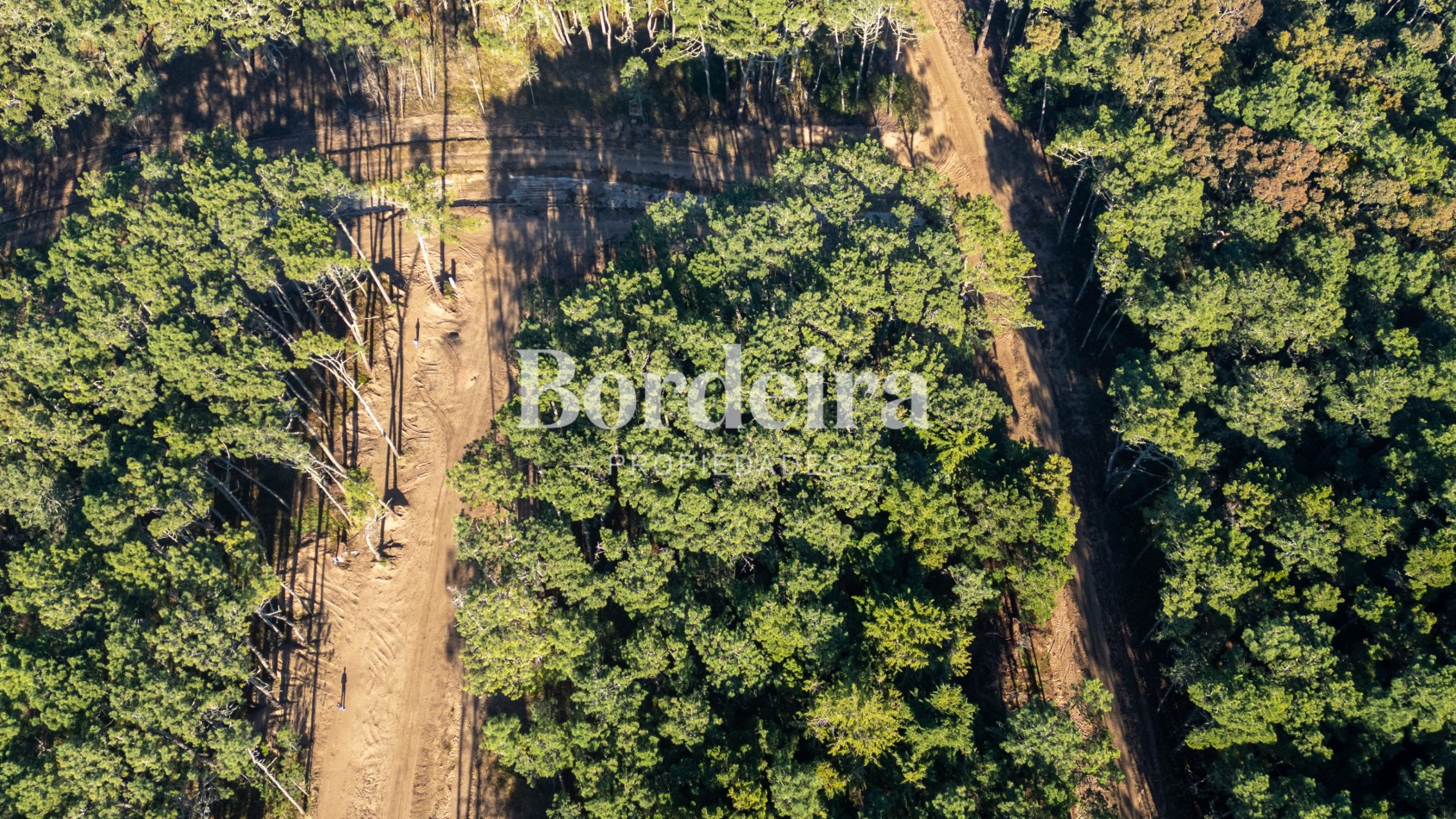 Venta Lote Barrio Los Enebros Carilo