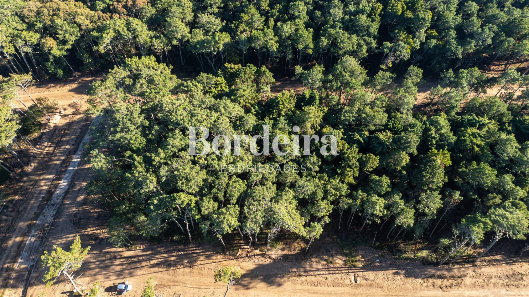 Venta Lote Barrio Los Enebros Carilo