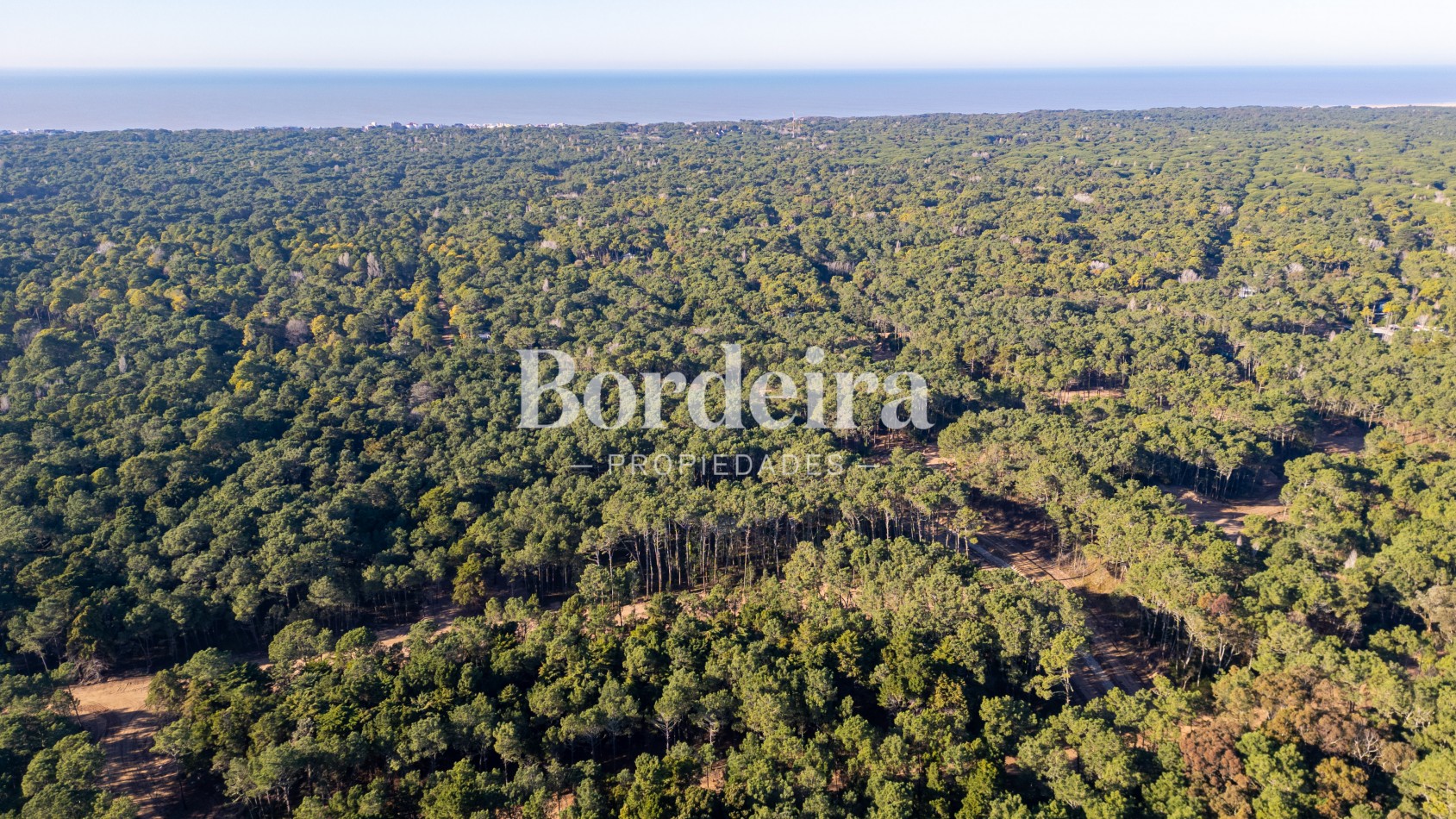 Venta Lote Barrio Los Enebros Carilo