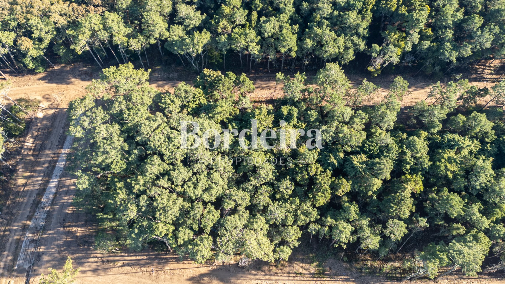 Venta Lote Barrio Los Enebros Carilo