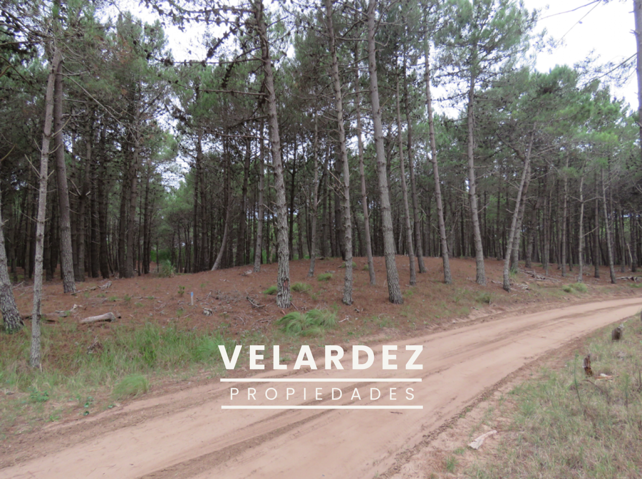 Lote en venta Villa Robles