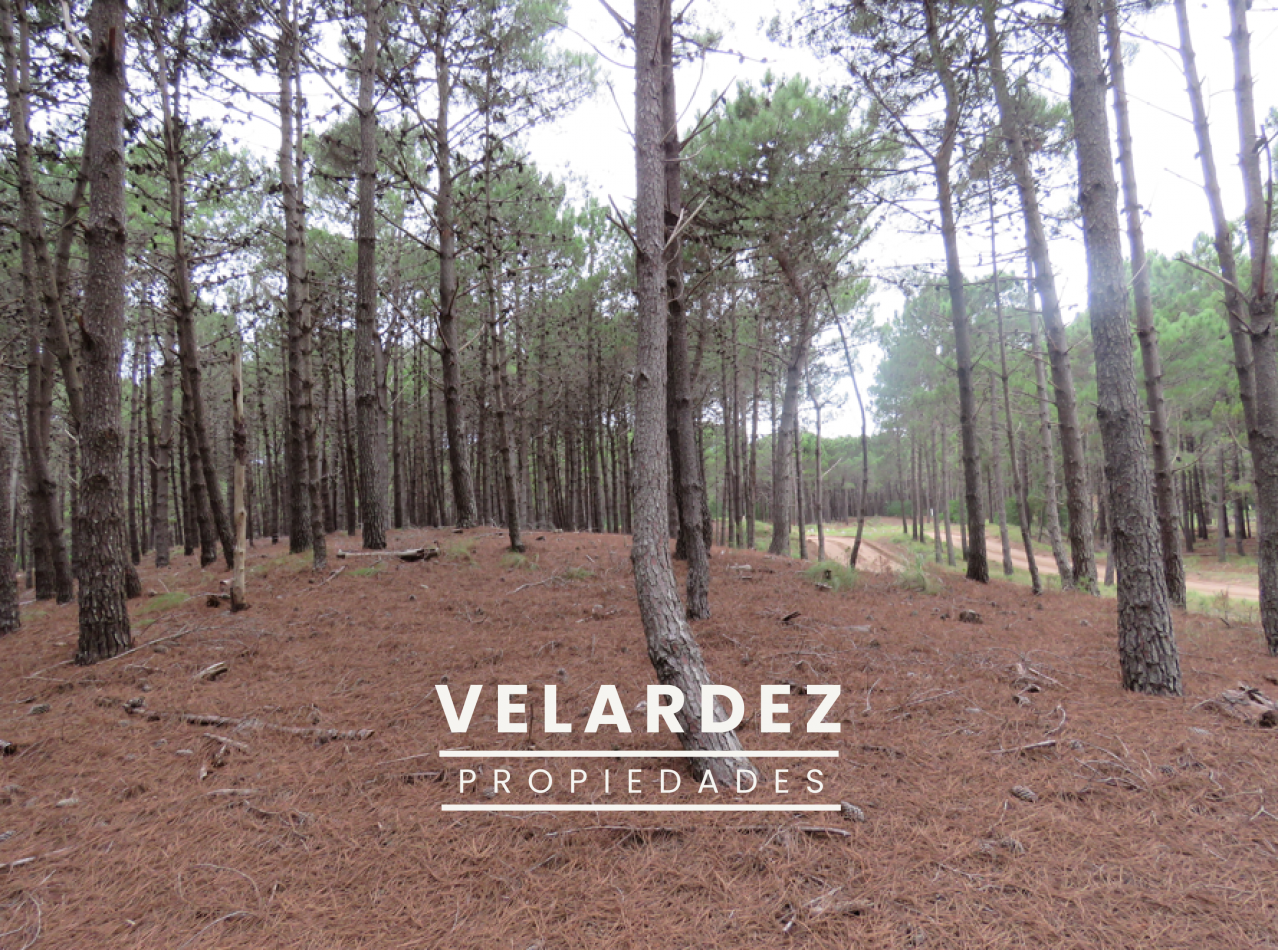 Lote en venta Villa Robles