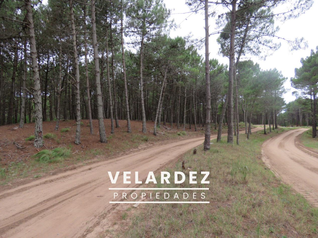 Lote en venta Villa Robles